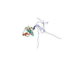 File:240px-1vd0 asym r 250.jpg