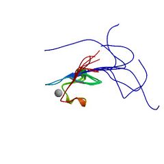 File:240px-2e61 asym r 500.jpg