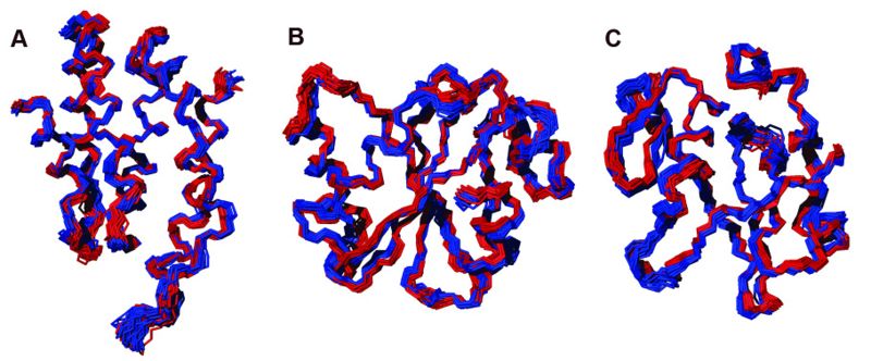 File:800px-Fig1-FlyaStructures.jpg