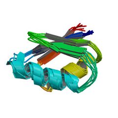 File:240px-2rog asym r 500.jpg