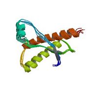 File:180px-1e1g asym r 250.jpg