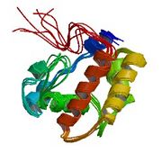 File:180px-1ls8 asym r 250.jpg