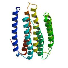 File:240px-2L6X bio r 250b.jpg