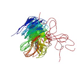 File:2agm asym r 250.jpg