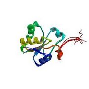 File:180px-240px-1vee asym r 250.jpg