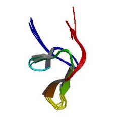 File:240px-1hic asym r 250.jpg