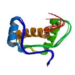 File:240px-1lg4 asym r 250.jpg