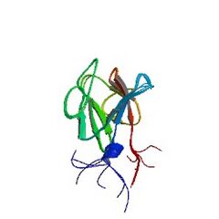 File:240px-1wln asym r 250.jpg