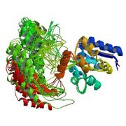 File:180px-2d21 asym r 250.jpg