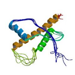 File:240px-1u3m asym r 250.jpg