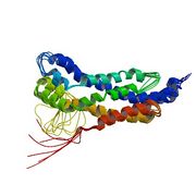 File:180px-5n6r.pdb-500.jpg