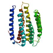 File:180px-2L6X bio r 250b.jpg