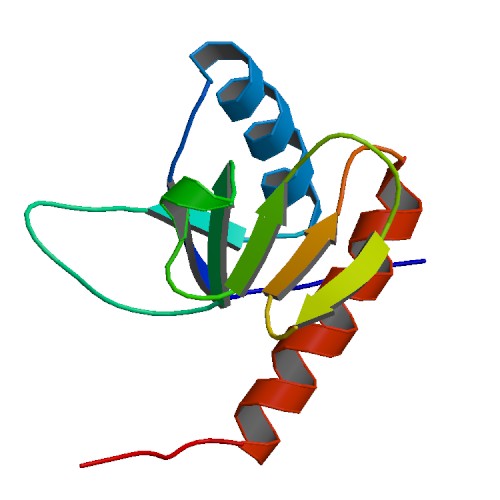File:2KX7 bio r 250.jpg