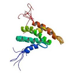 File:240px-1vdy asym r 250.jpg